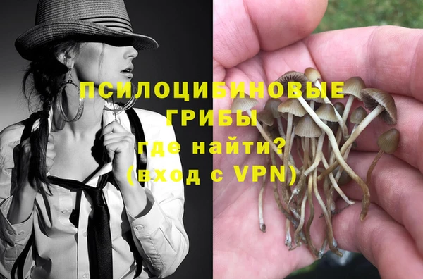 ешки Иннополис