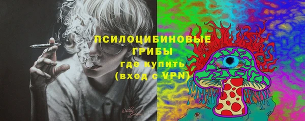 ешки Иннополис