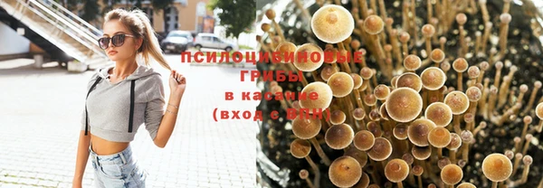 мяу мяу кристалл Инта