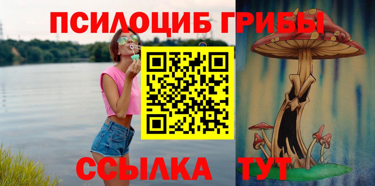 наркотики  Вход с VPN  Иркутск  Псилоцибиновые грибы мицелий  Псилоцибиновые грибы ЛСД 