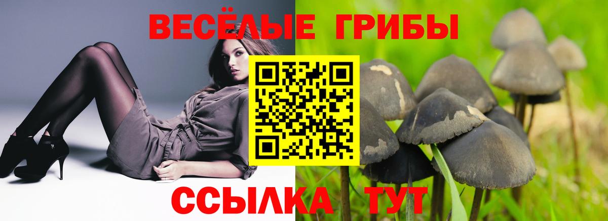 Псилоцибиновые грибы MAGIC MUSHROOMS Иркутск